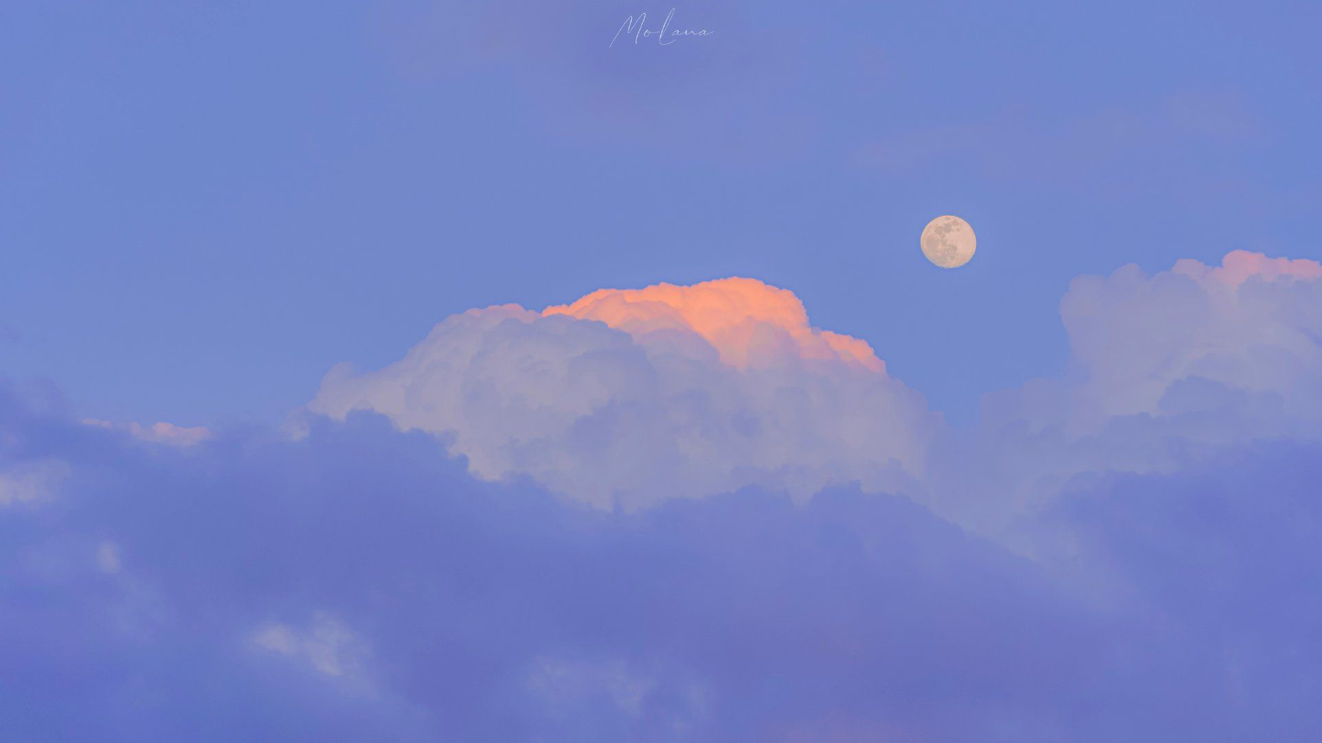 1640830462119542.png