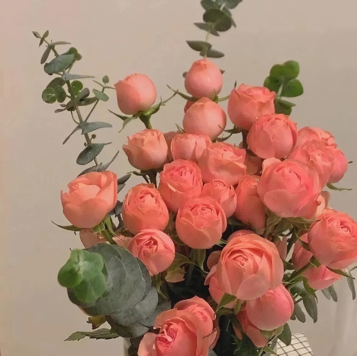 妇女节.jpg