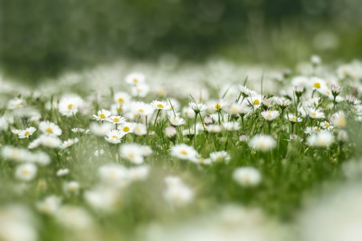 v2-01a5be343055e52666984dd888249aec_720w.jpg