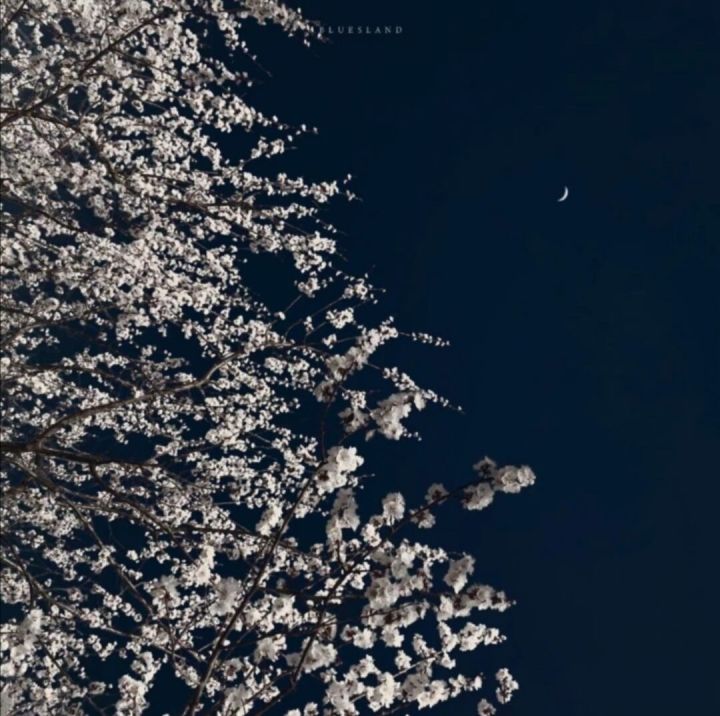 v2-0b390aa63cf0f0de4363f1ed2f59eddb_b.jpg