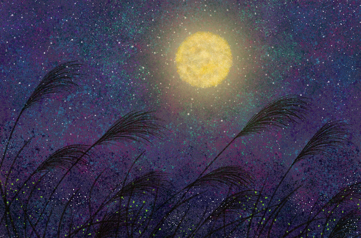 e2cd3dfa0976bf2061cc8e0a75cf3732.png